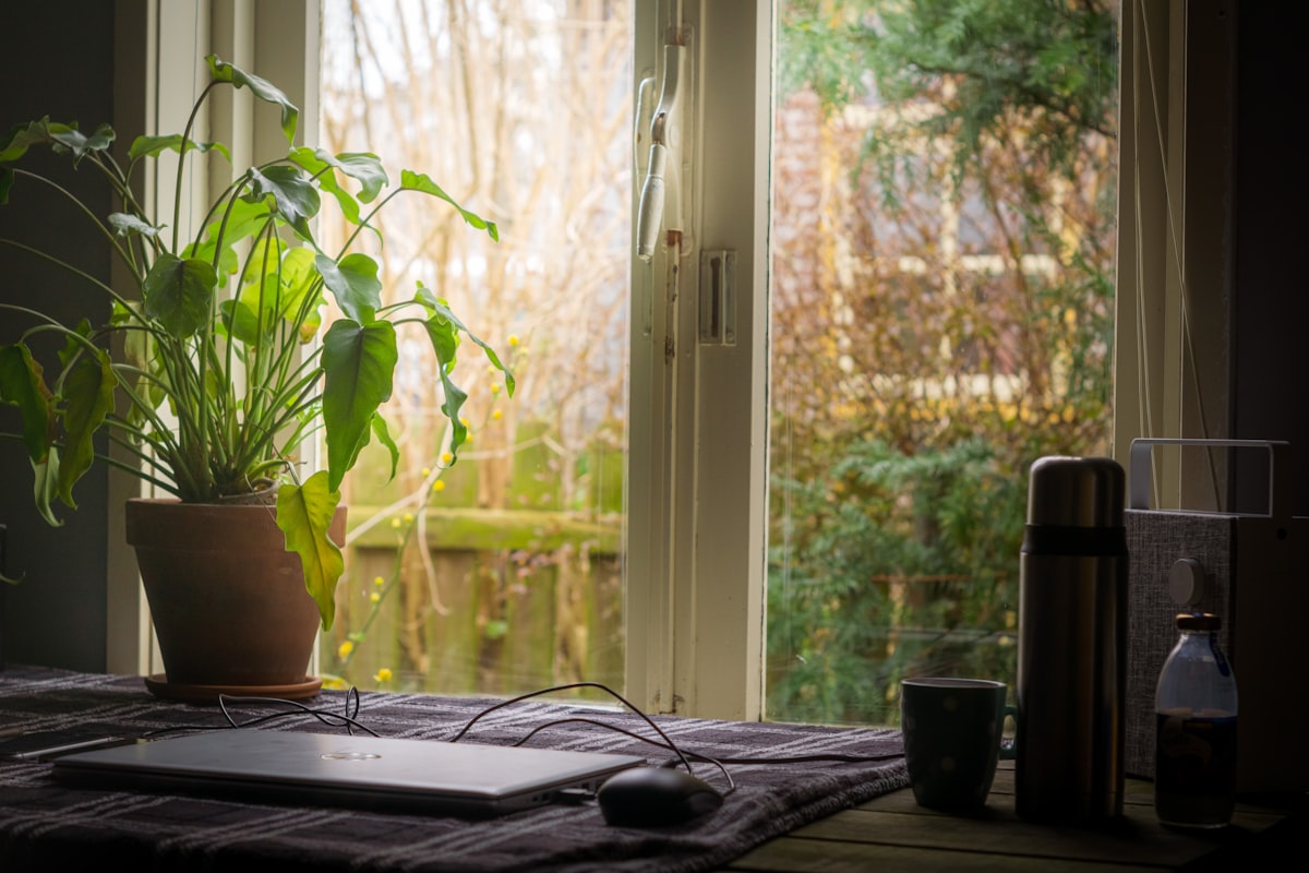 A notebook open on a windowsill beside a cup of tea, with daylight and plants in view